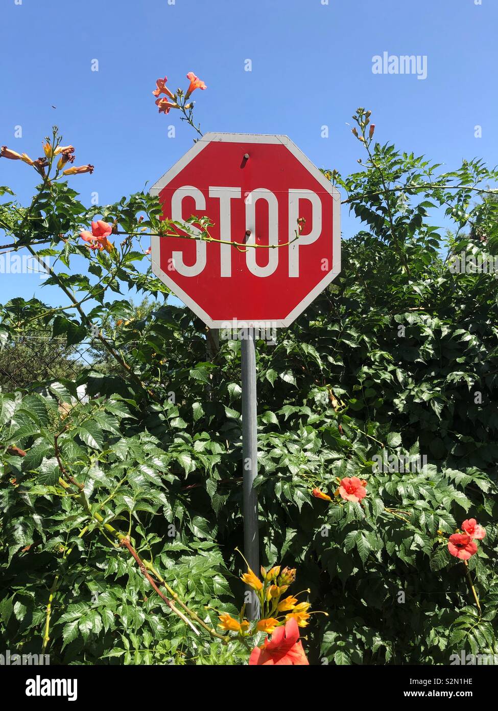 Panneau "Stop". Banque D'Images