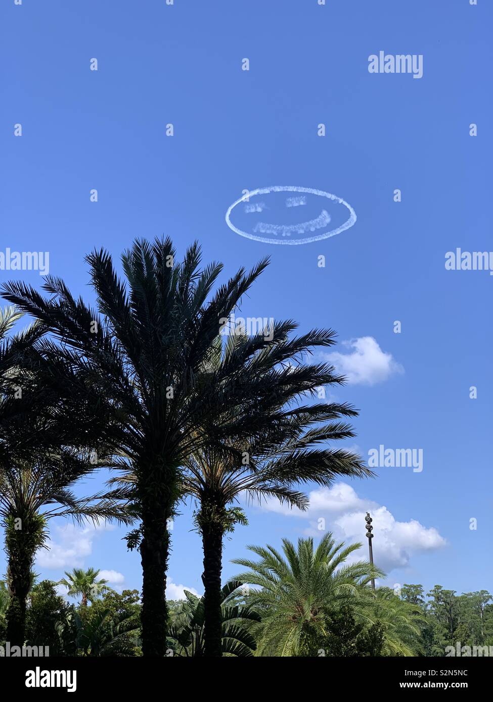 Smiley avion contrail dans le ciel bleu avec des palmiers, en Floride Banque D'Images