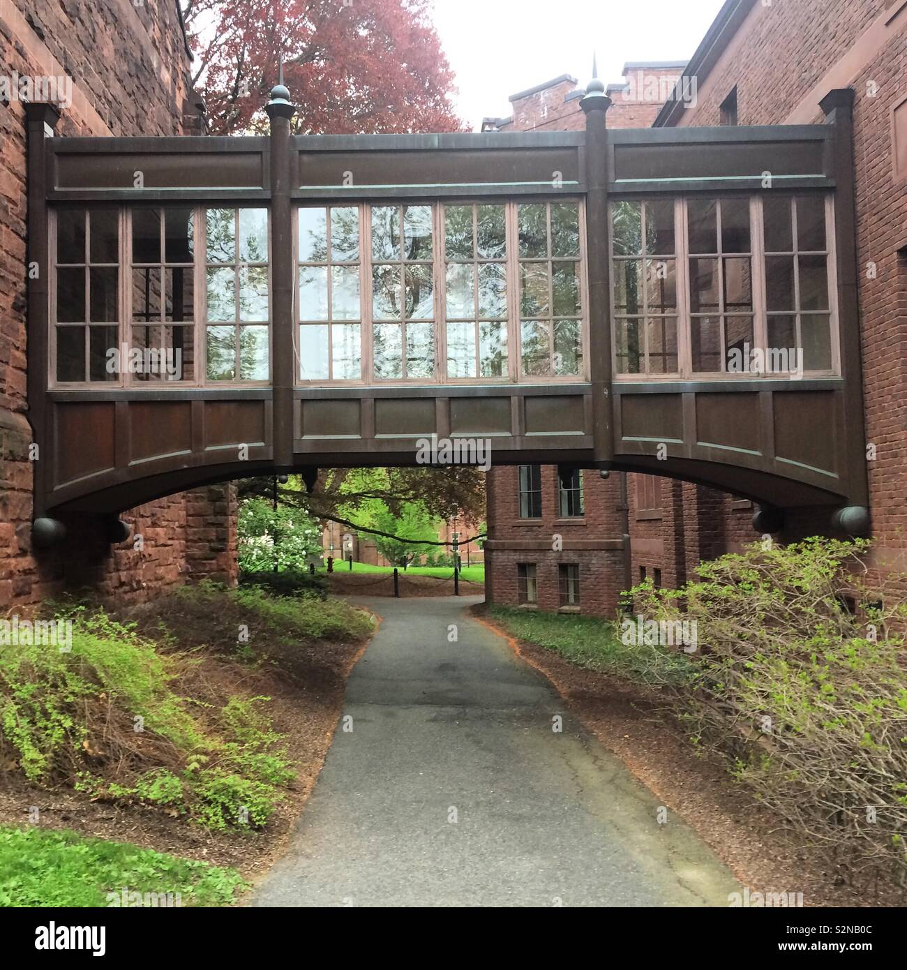 Un chemin qui par l'entremise du campus, Mount Holyoke College, South Hadley, Massachusetts, United States Banque D'Images