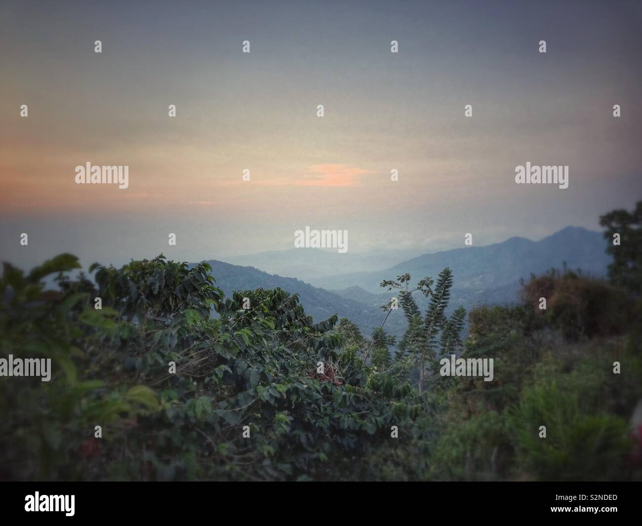 Vue panoramique de la Sierra Nevada de Santa Marta, Colombie. - Image de stock capturée avec un smartphone