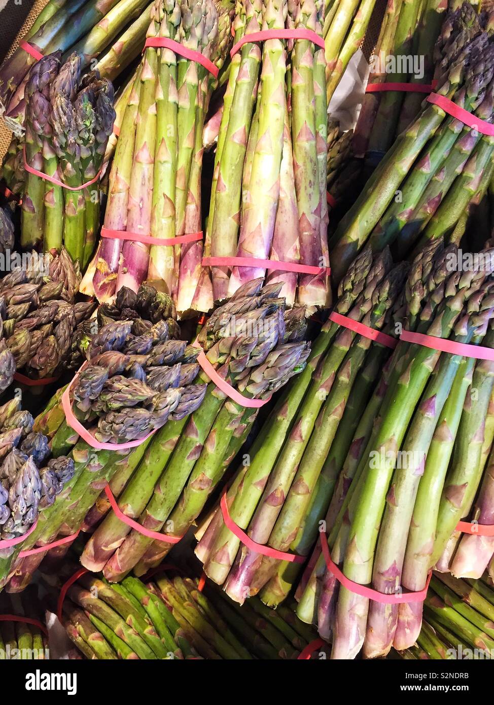 Bouquets de pointes d'asperges fraîchement cueillies et tiges sur un stand pour une image de fond de légumes biologiques with copy space Banque D'Images