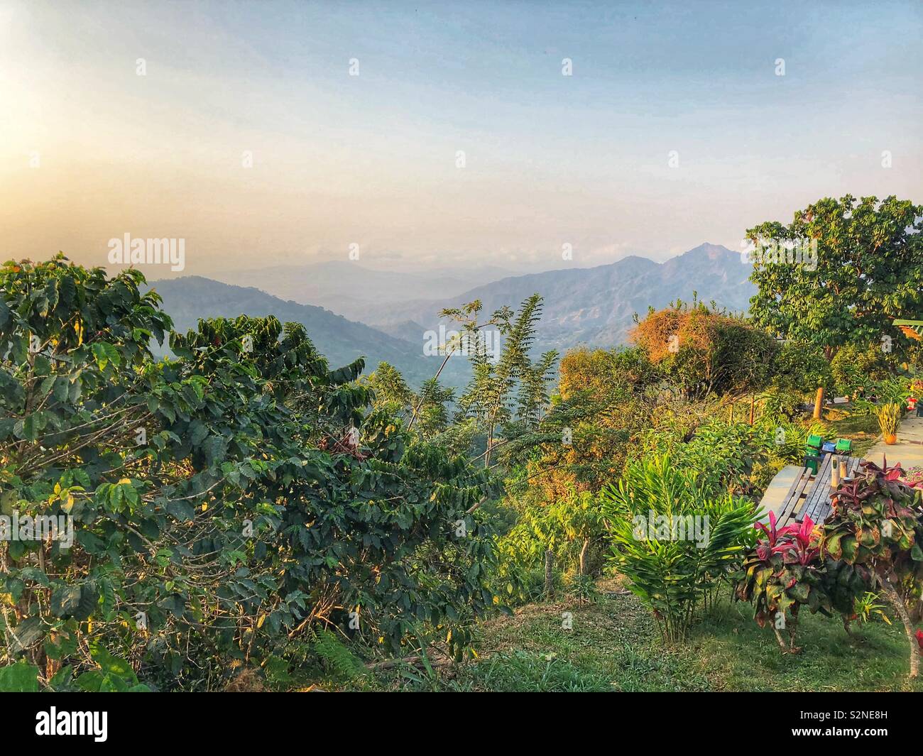 Une vue pittoresque des montagnes de la Sierra Nevada en Colombie. - Image de stock capturée avec un smartphone
