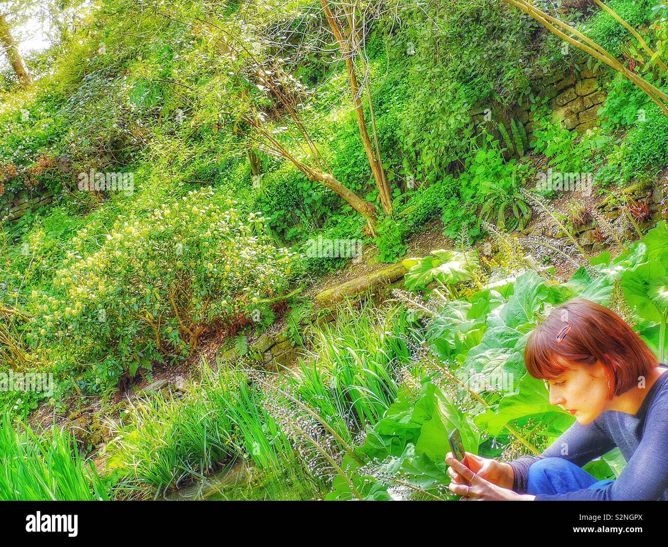 Jeune femme aux cheveux auburn sur smartphone assis dans des jardins Banque D'Images