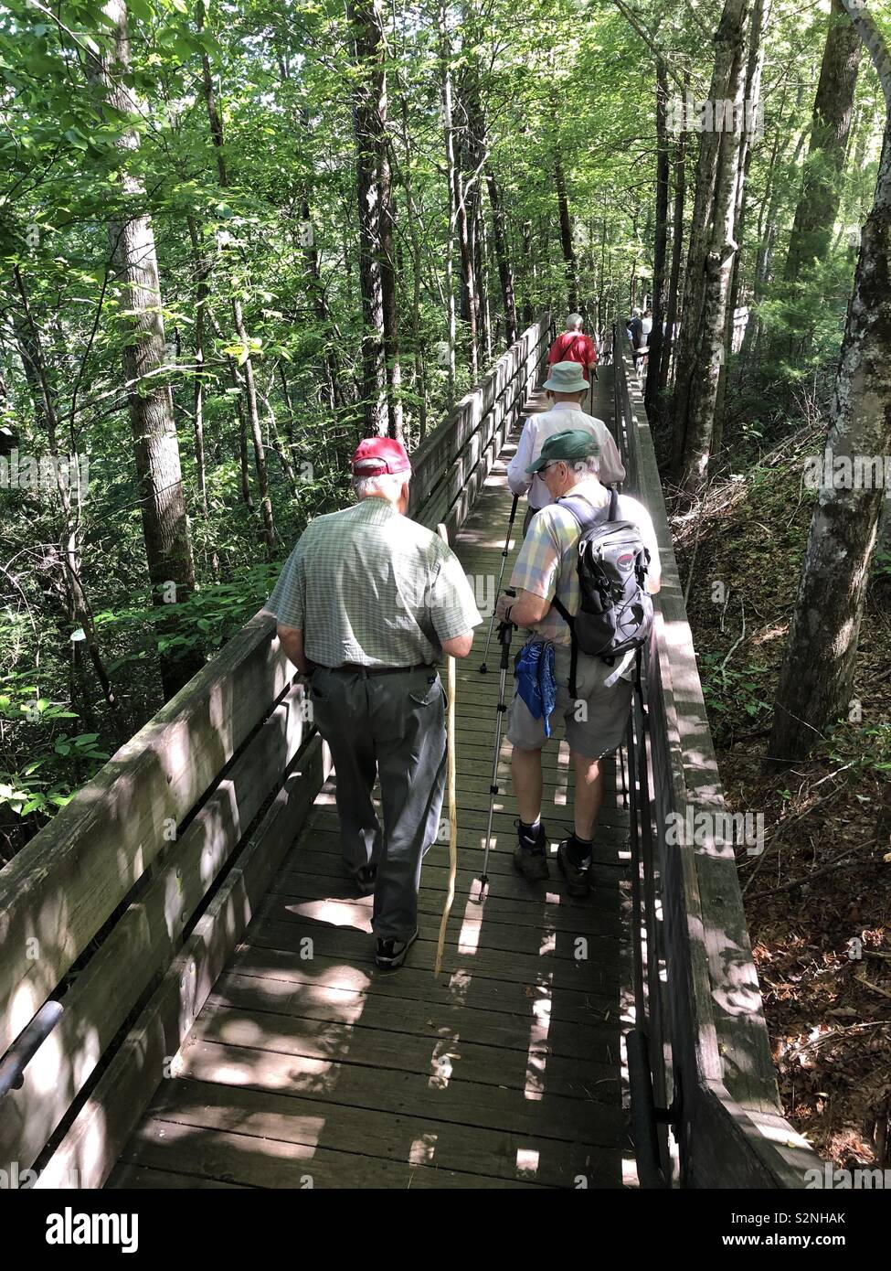 Trail club crossing une promenade à travers la forêt nationale de Chattahoochee Banque D'Images