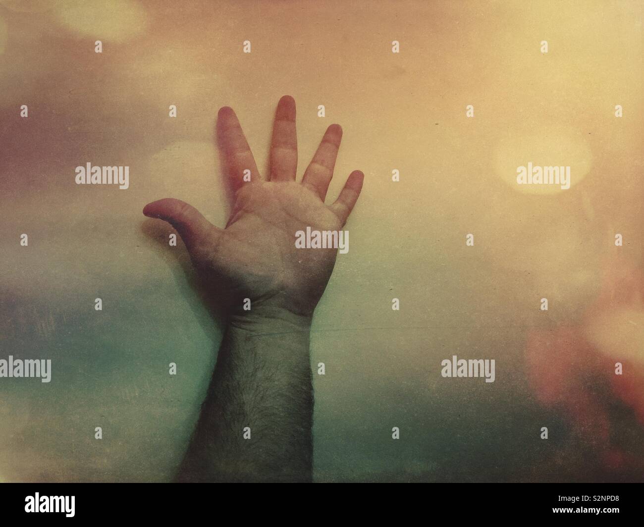 Mans main Banque D'Images