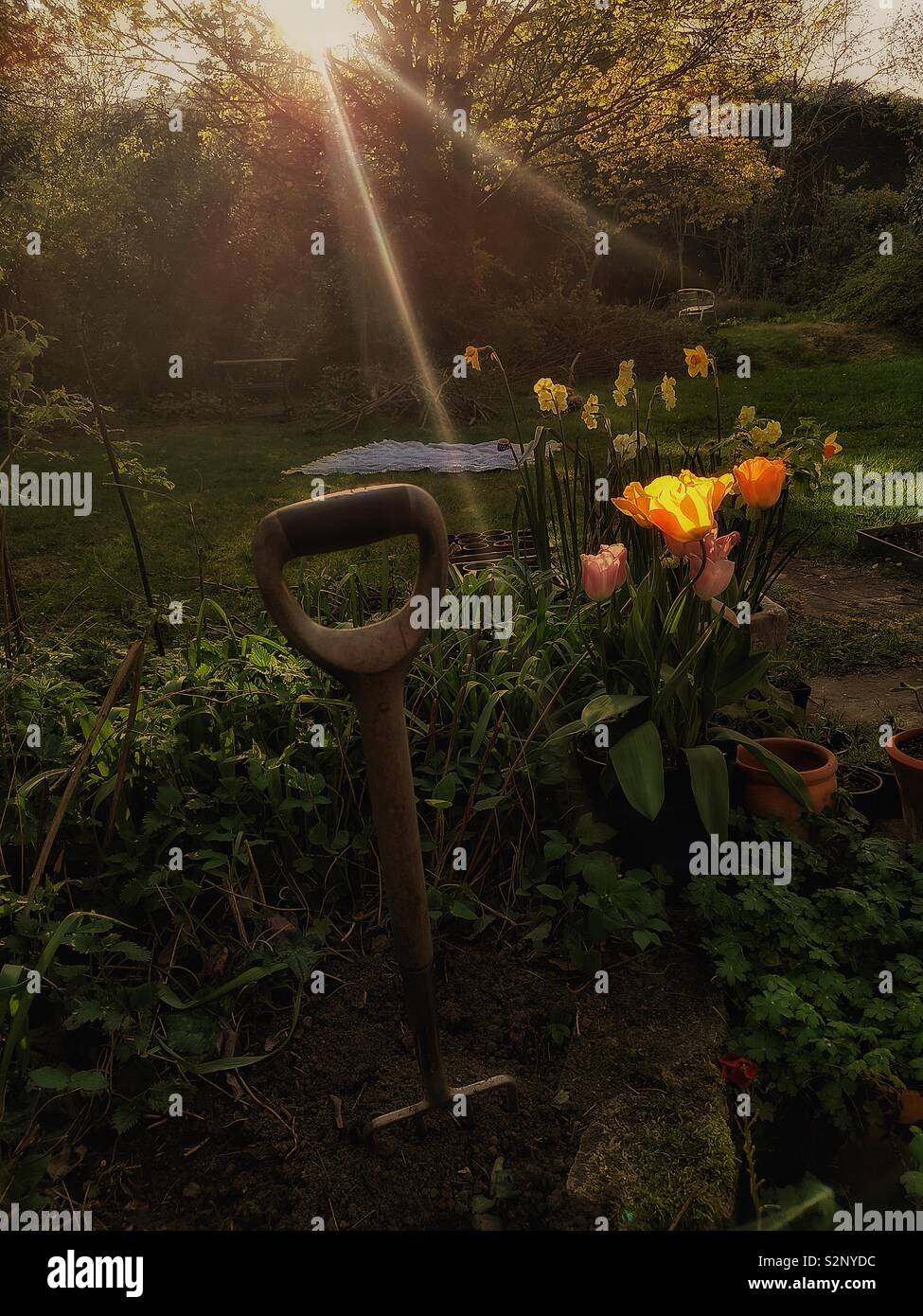 Les derniers rayons de soleil sur la fourchette avec jardin Banque D'Images