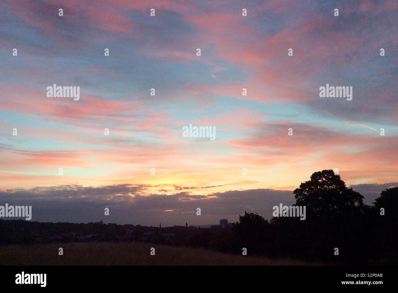 Coucher du soleil sur une nuit d'été, Hampstead Heath, London, UK Banque D'Images