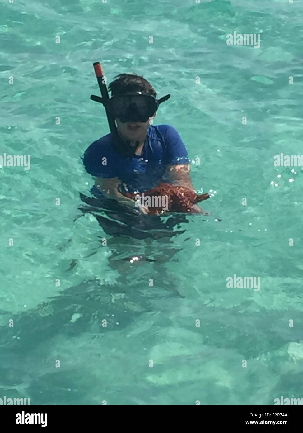 Photo de mon fils prise en République dominicaine tout en plongée avec tuba dans la mer des Caraïbes et la prise d'une grande étoile de mer. Banque D'Images
