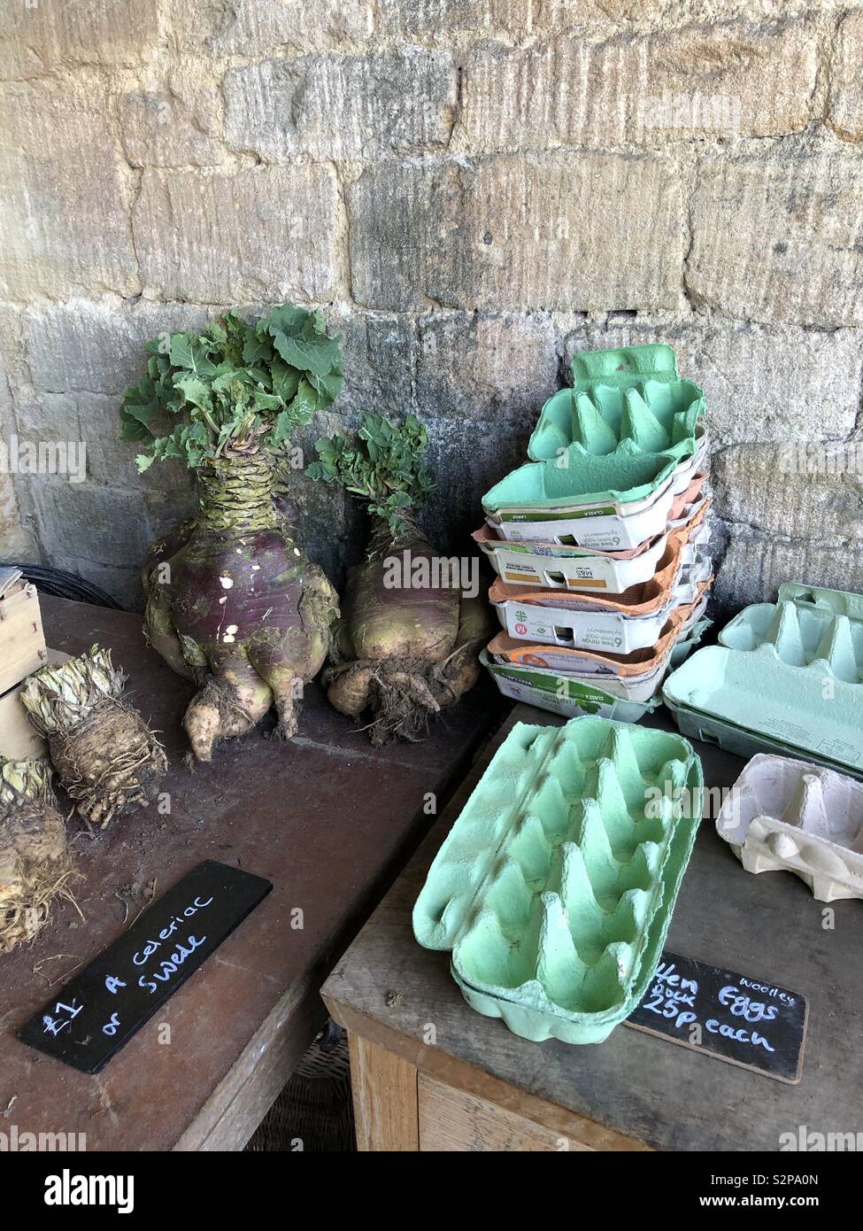 Légumes à l'atelier de rempotage - Image de stock capturée avec un smartphone