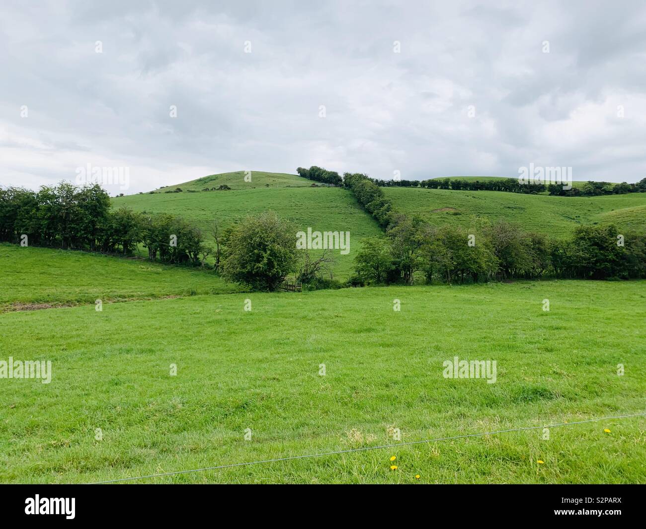 La campagne ouverte. Banque D'Images