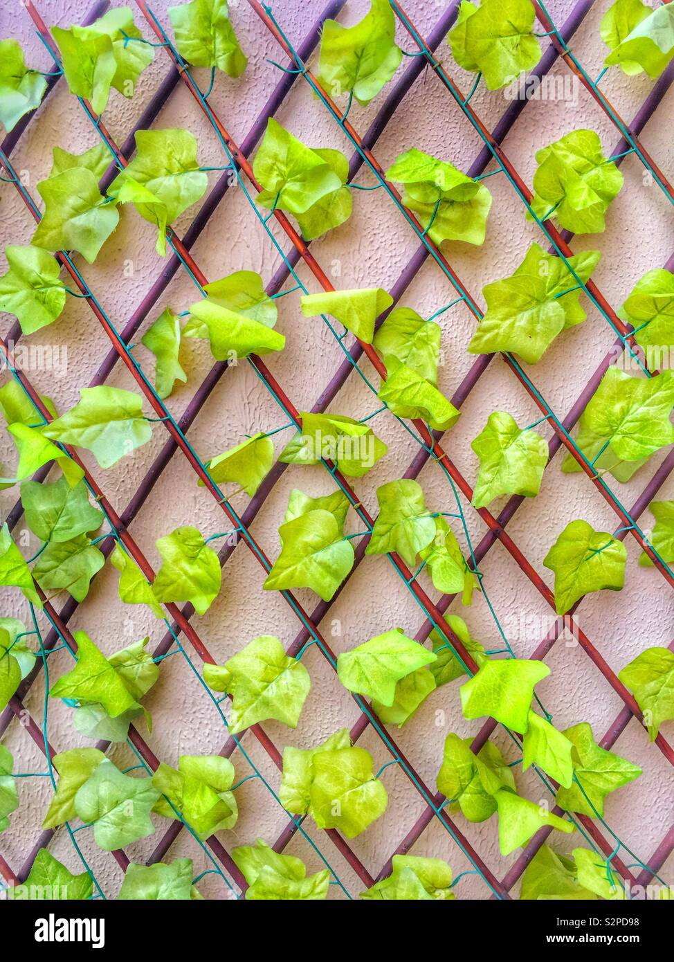 Les feuilles en plastique décoration Banque D'Images