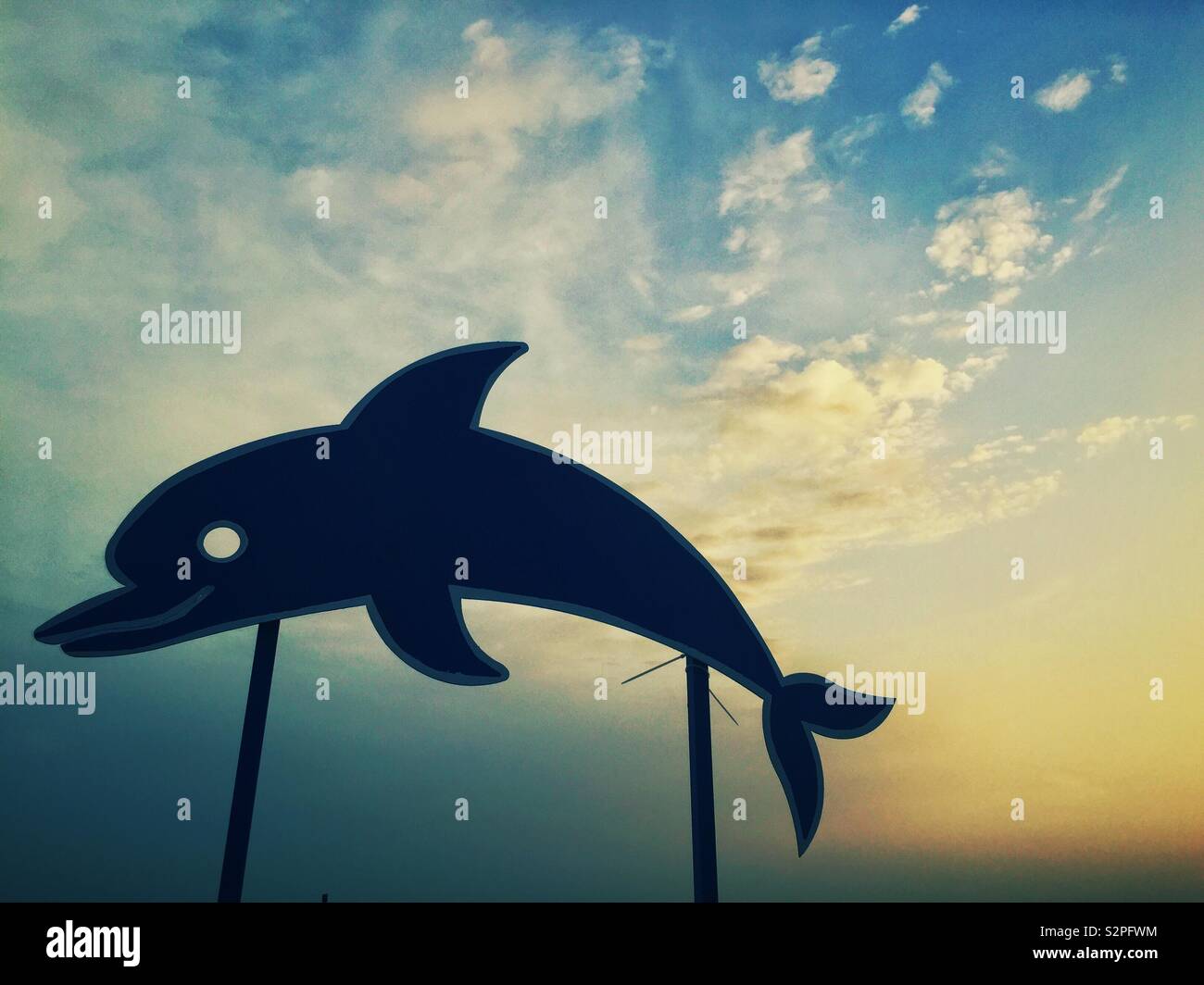 Inscrivez-Dolphin au lever du soleil Banque D'Images