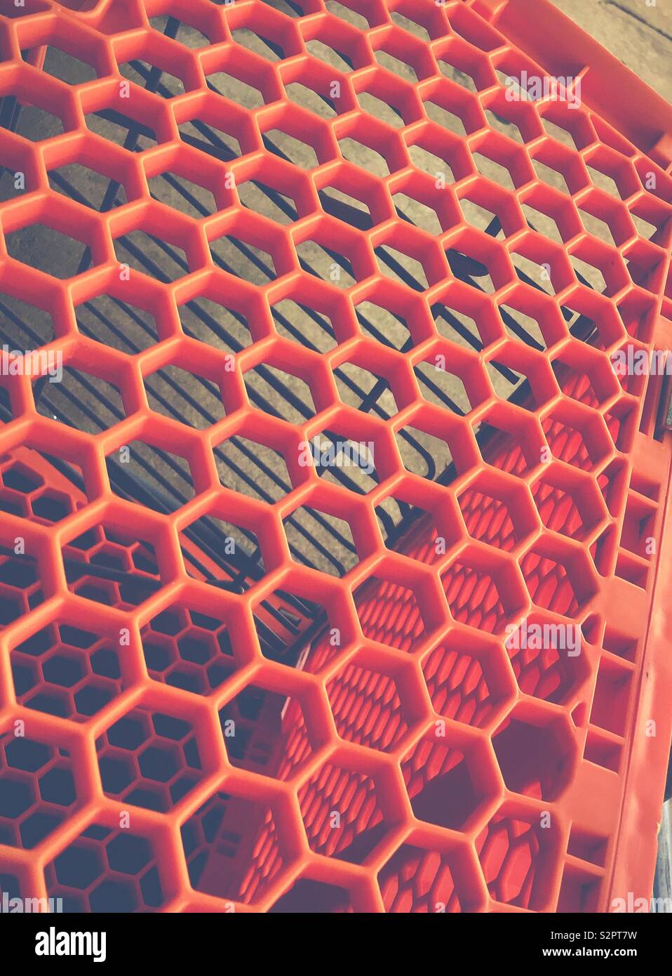 Libre sur nid d'été panier Banque D'Images