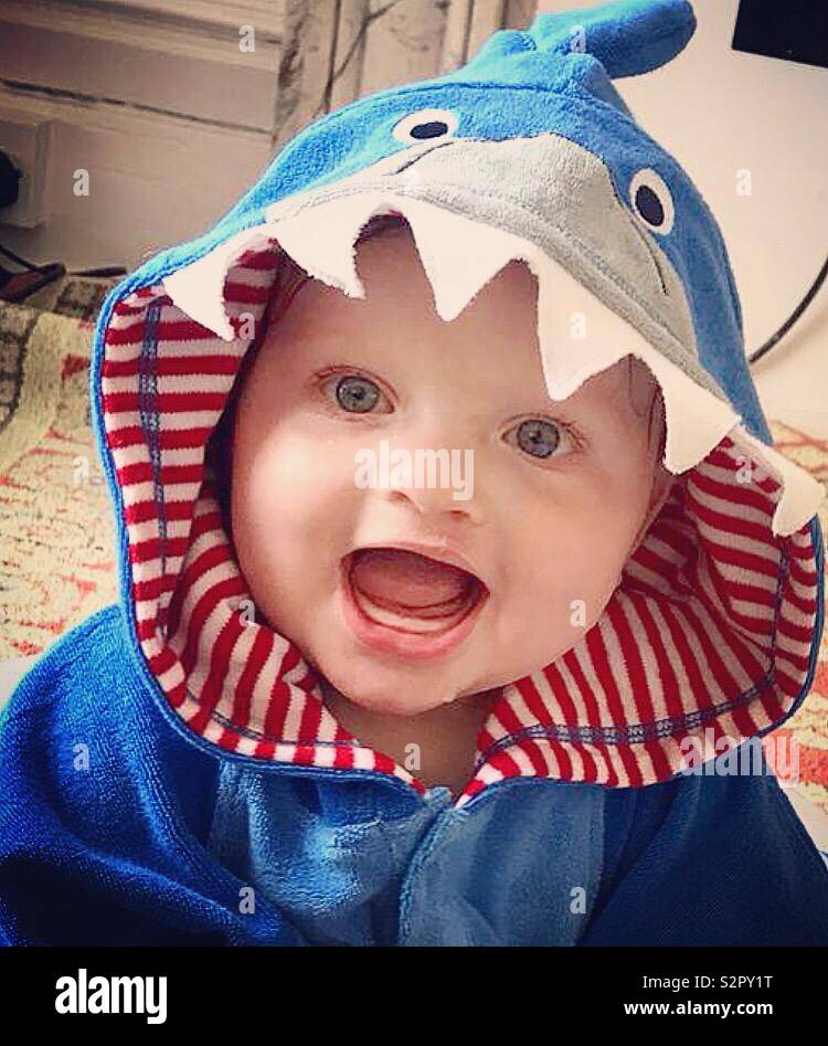 Bébé de 7 mois garçon en serviette requin Banque D'Images