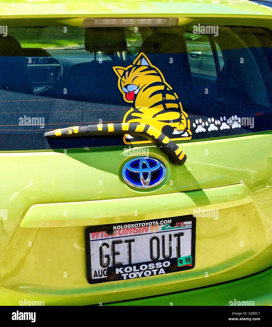 Retour de Prius jaune jaune avec autocollant chat tabby cat, essuie-queue  et les autocollants avec une patte de la plaque d'immatriculation vanité  lecture SORTIR Photo Stock - Alamy