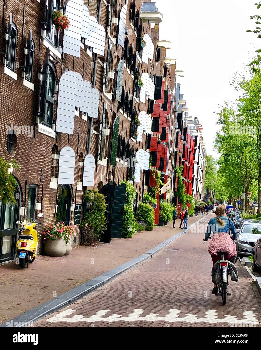 Fille à vélo le long de la rue d Amsterdam, près de belles maisons anciennes avec des volets sur les fenêtres. - Image de stock capturée avec un smartphone
