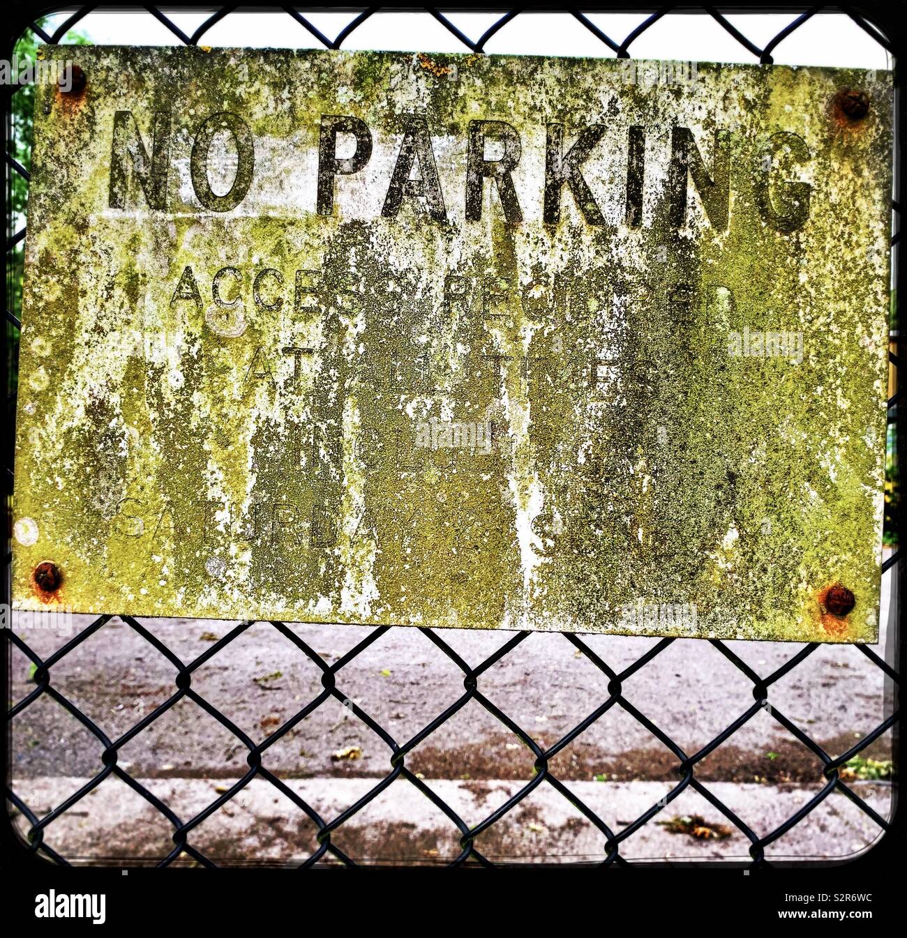 Vieux no parking sign on fence couvert de moisissure verte Banque D'Images