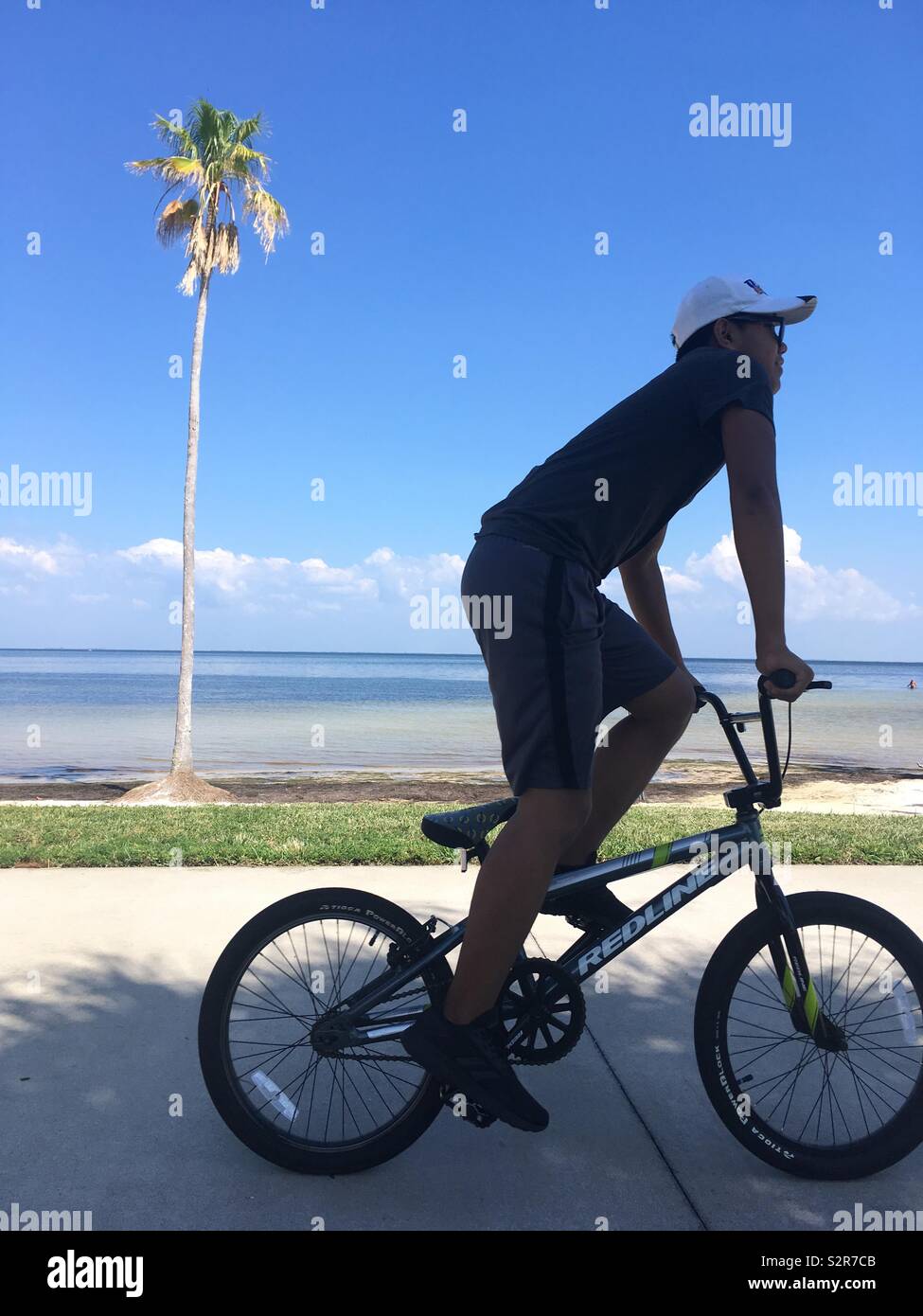 L'homme sur le vélo à l'aide de vélo passé palm tree Banque D'Images