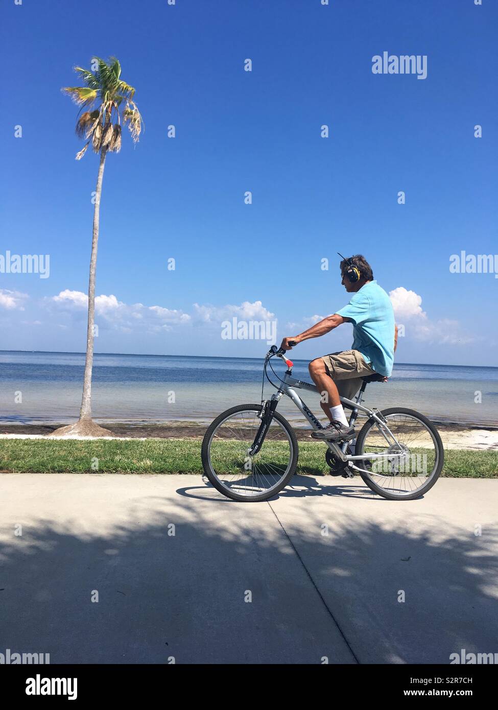 Homme portant un casque en vélo Vélo passé palm tree Banque D'Images