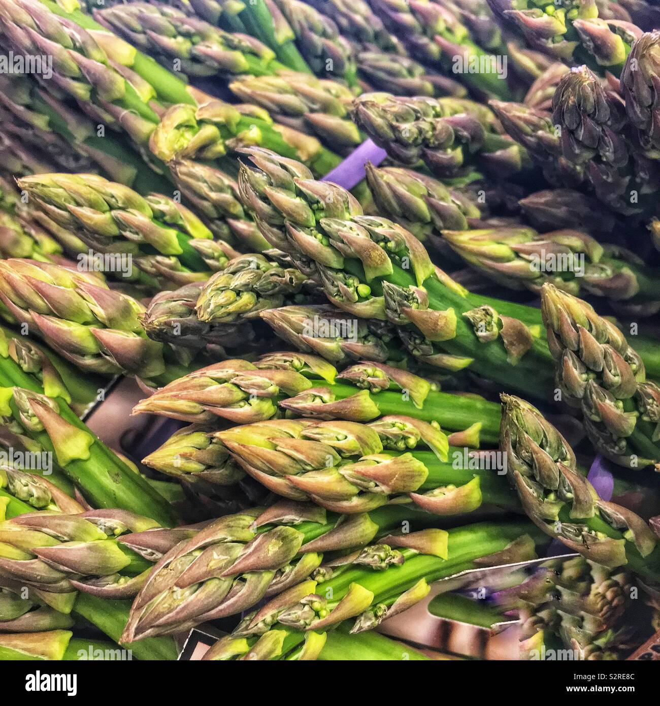 De nombreux produits frais délicieux délicieux ripe green d'asperges. Banque D'Images