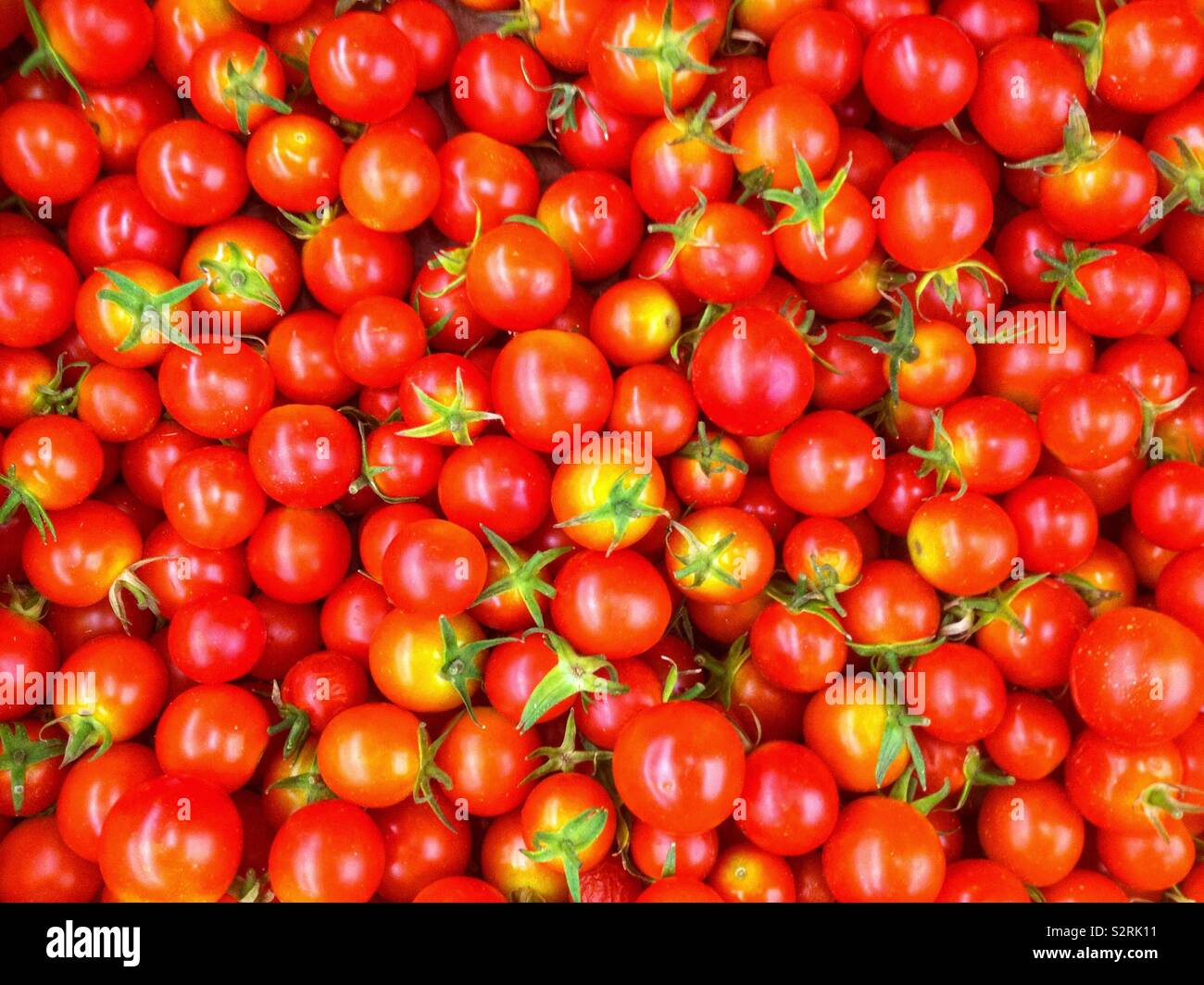 Tomates cerises biologiques dans un magasin Banque D'Images