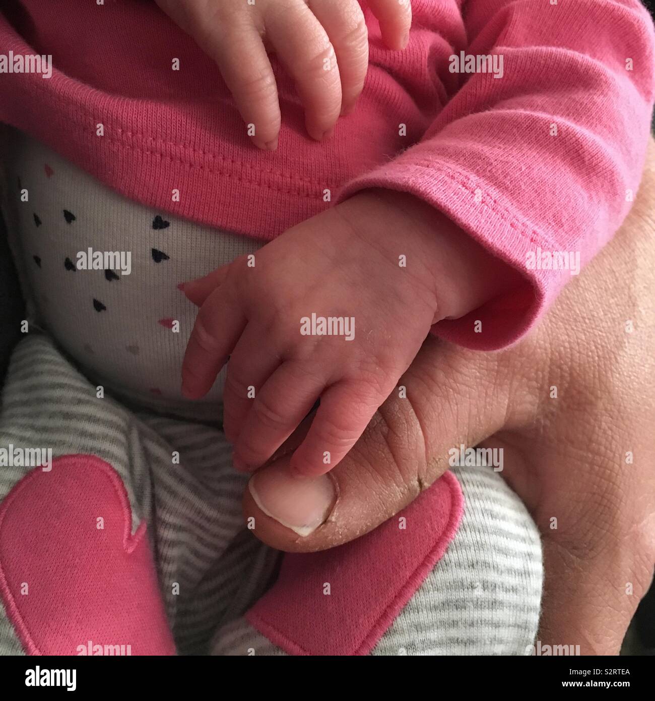 Les mains d'une petite fille et son papa. Banque D'Images