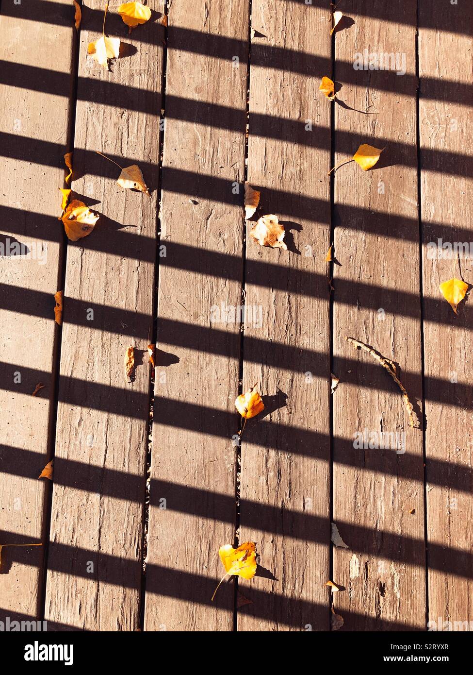 Premiers signes de l'automne Banque D'Images