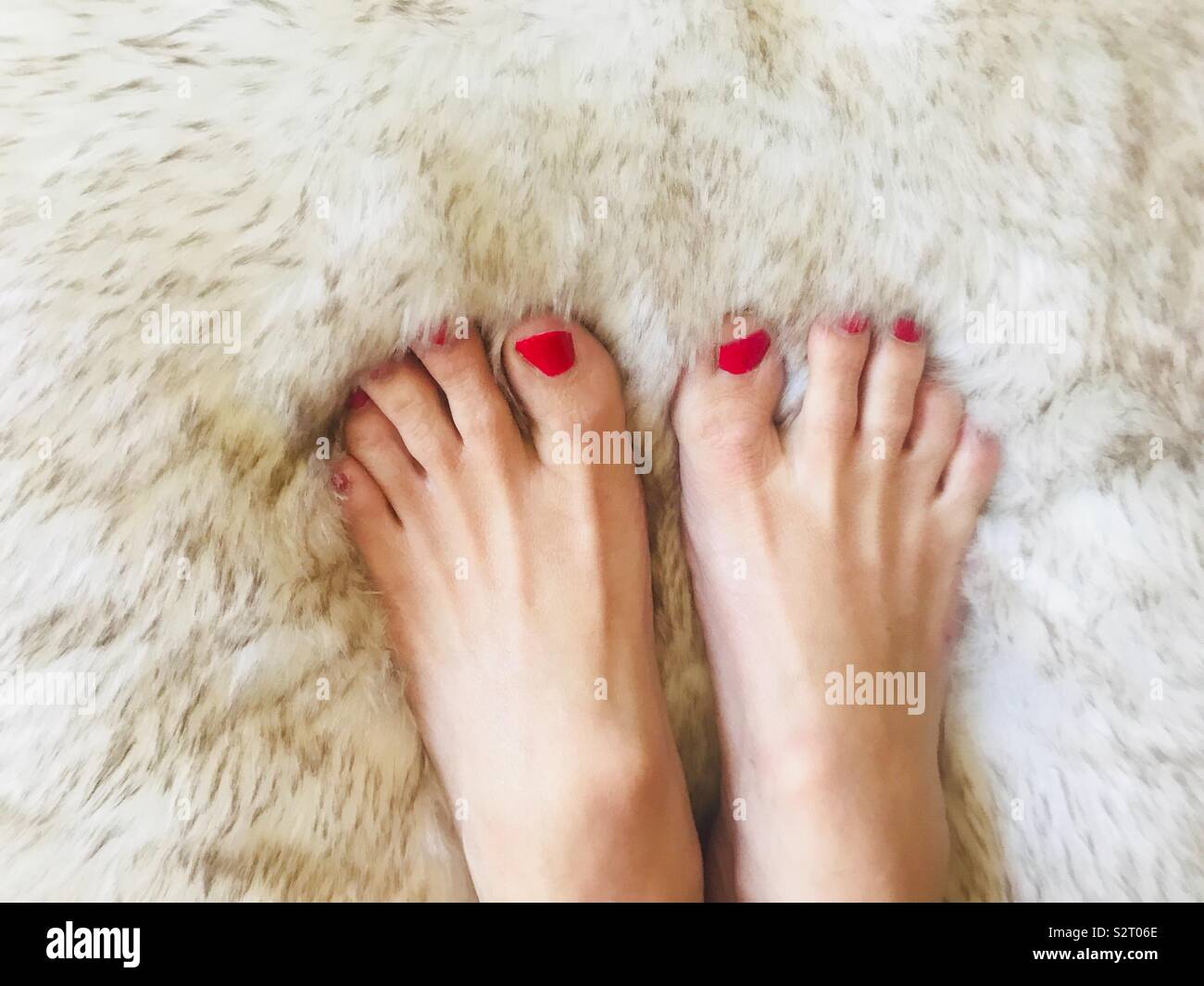Les beaux pieds d'une femme avec des ongles rouges peints sur un oreiller doux et moelleux. Images de pieds Banque D'Images