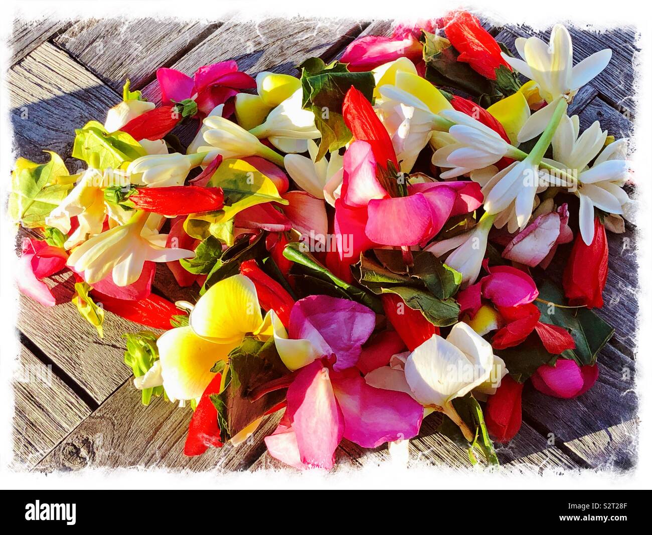 Des guirlandes de fleurs fraîches dans une pile, Tahiti, Polynésie Française Banque D'Images