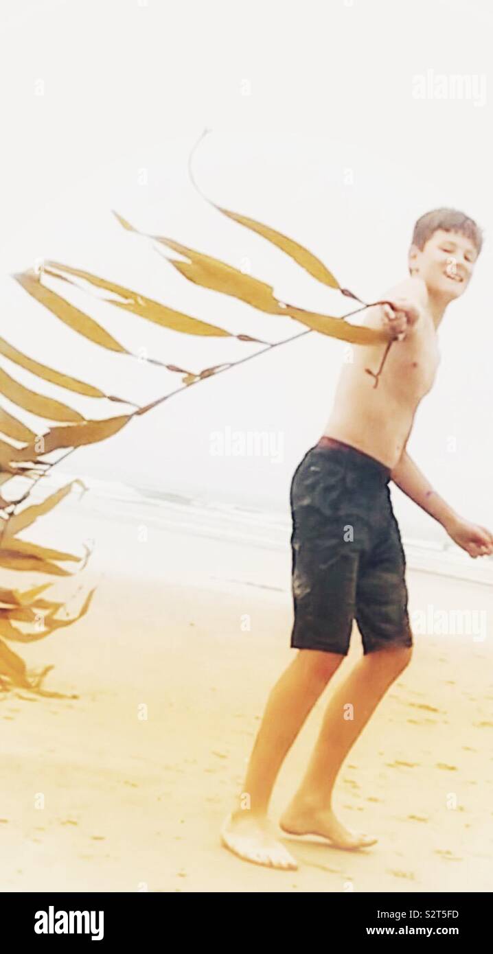 Garçon de 11 ans jouant sur la plage tenant un long morceau d'algues et virevoltant autour de Banque D'Images