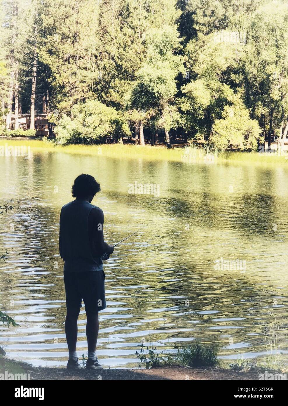 Adolescent au lac de pêche, l'eau est verte, jaune dans la forêt avec le soleil qui brille sur les arbres dans les montagnes Banque D'Images