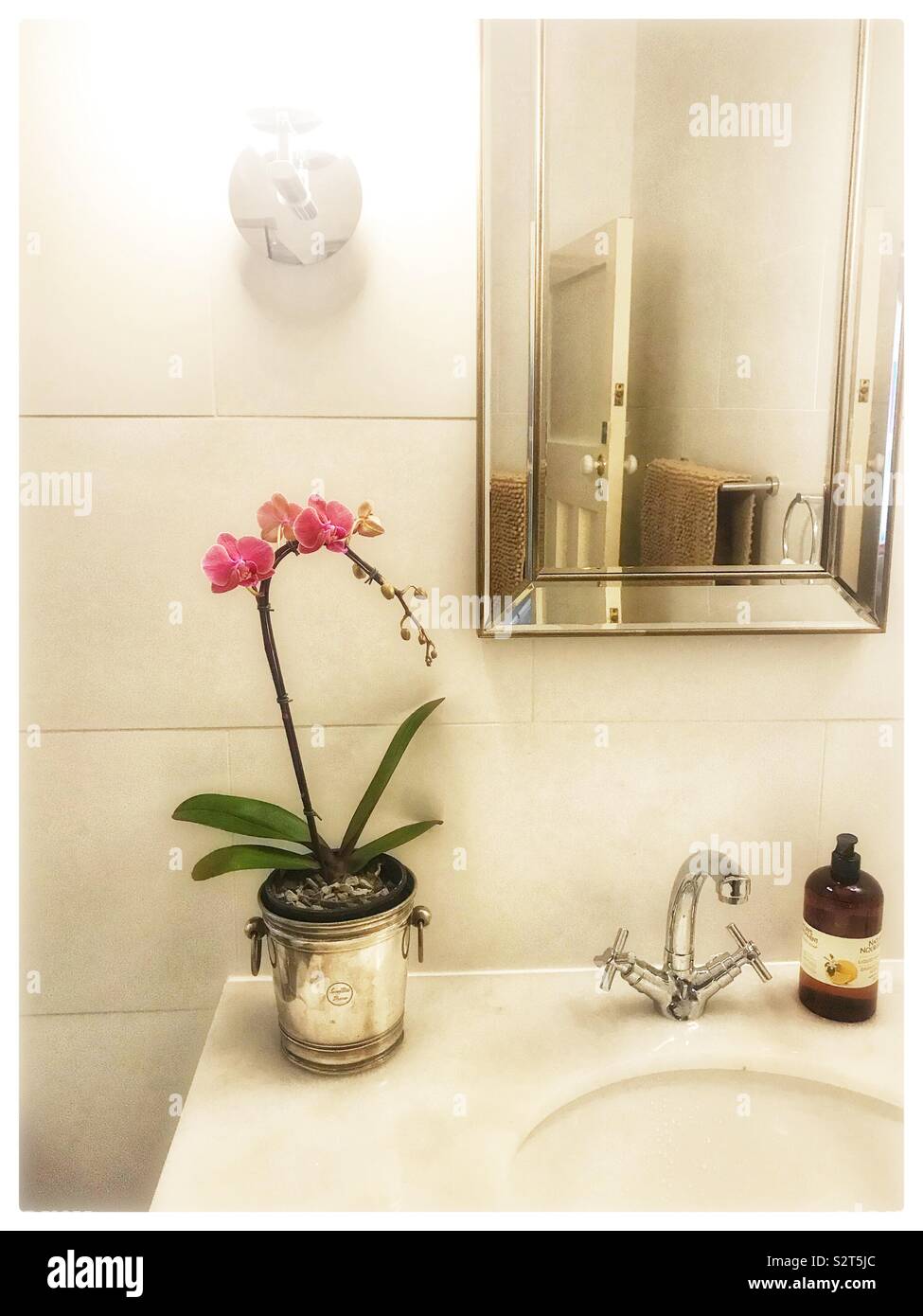 Orchid dans la salle de bains. Banque D'Images