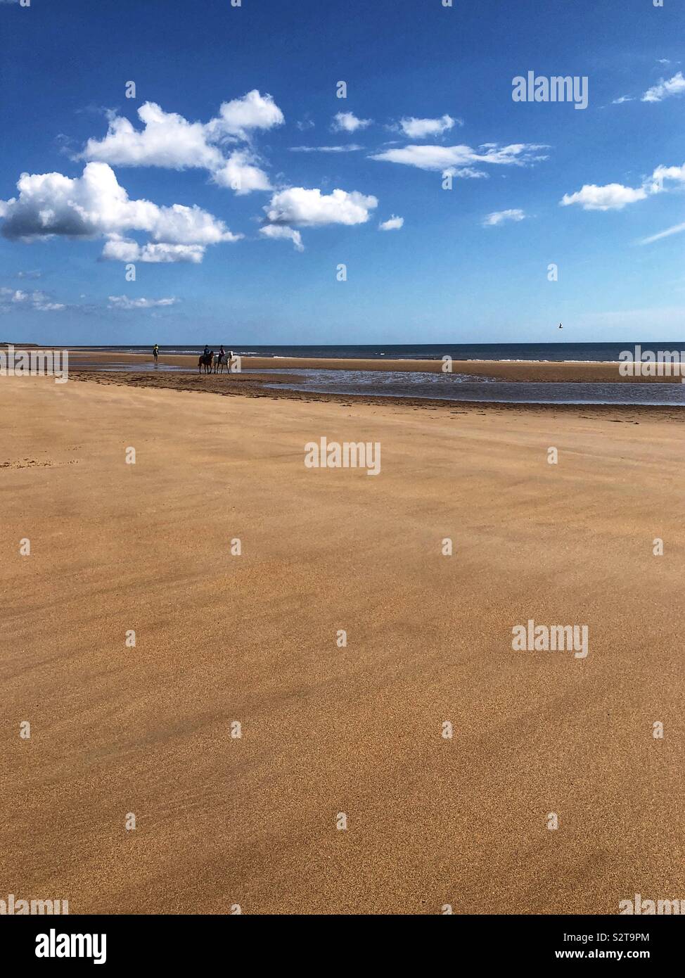 3 cavaliers sur une large plage de sable, - Image de stock capturée avec un smartphone