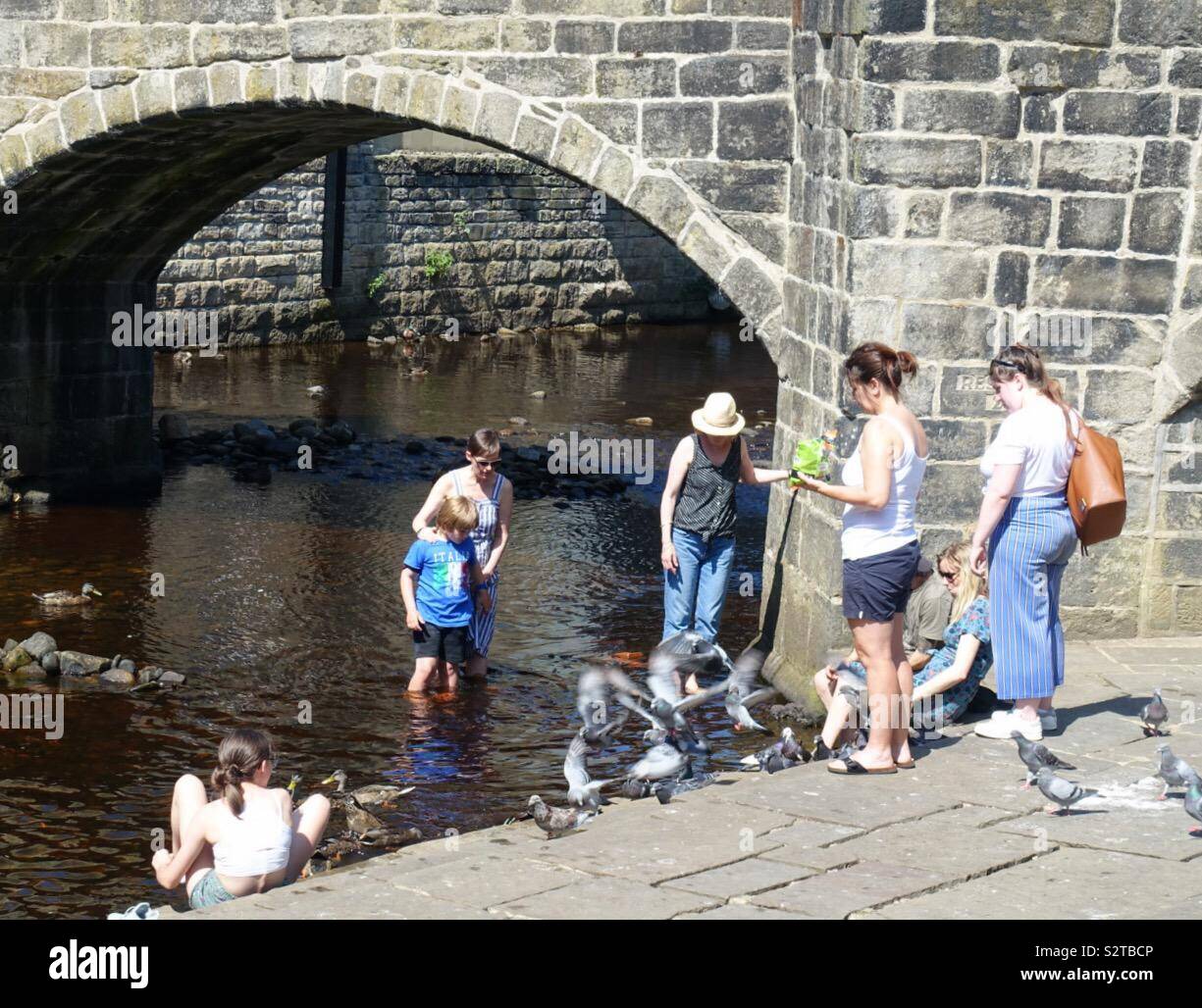 Météo britannique. Chaude et ensoleillée à Hebden Bridge, West Yorkshire. Les gens avec les canards de pagaie pour se rafraîchir dans la rivière Hodder. Banque D'Images