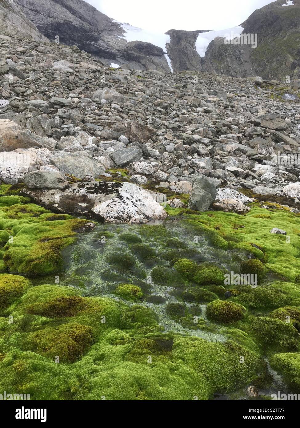 Un petit cours d'eau du glacier dans la montagne, Trollabotn, Voss, Norvège Banque D'Images