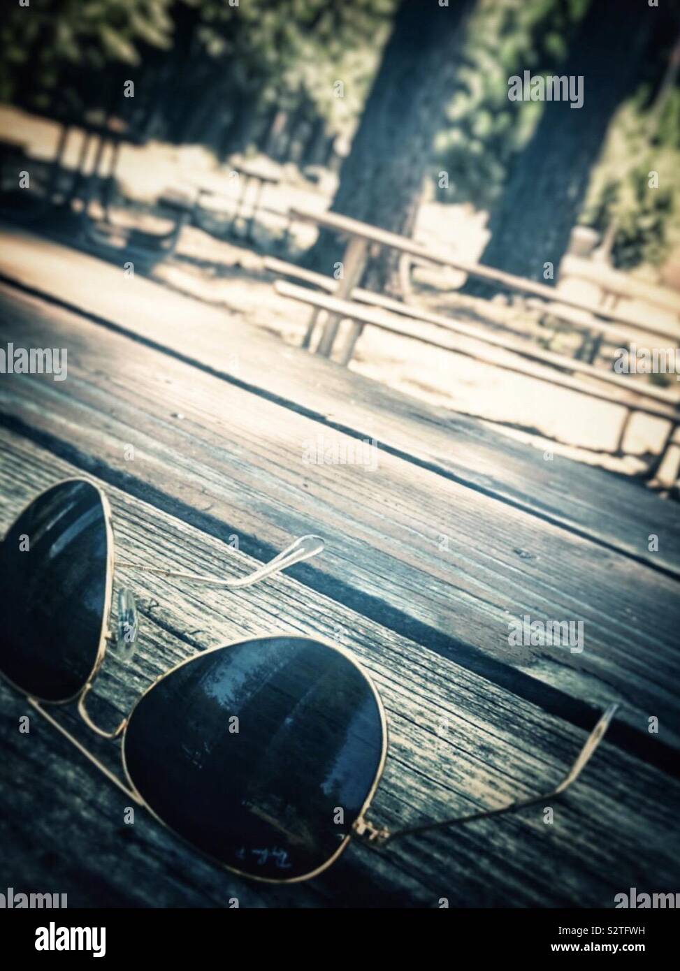 Lunettes de soleil aviateur assis sur une table de pique-nique en bois montrant le reflet des arbres dans la forêt sur l'objectif Banque D'Images