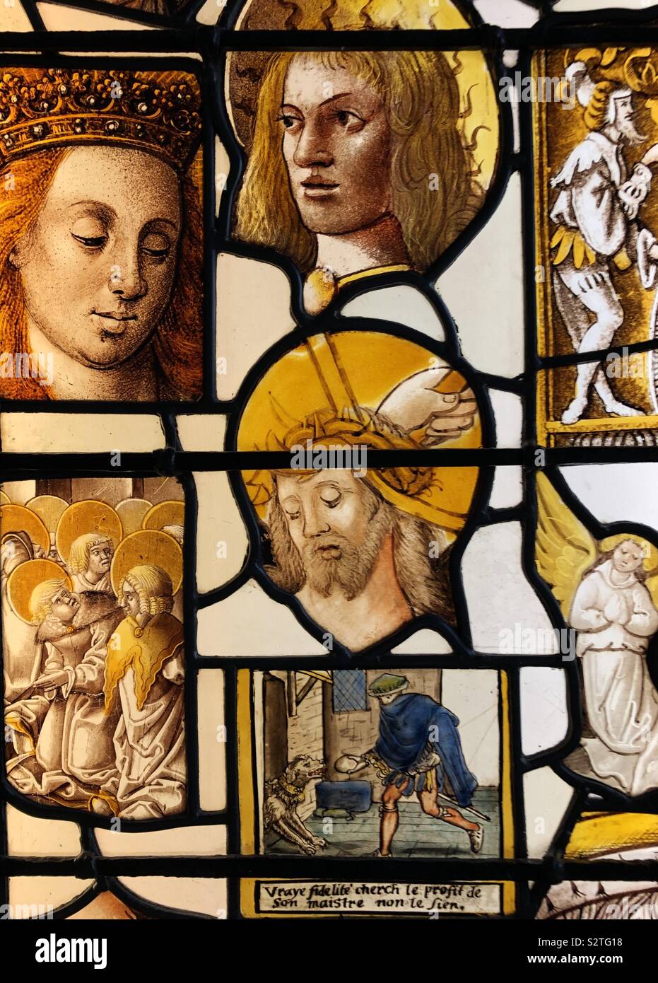 Exposition de vitrail dans King's College à Cambridge, Angleterre. Banque D'Images