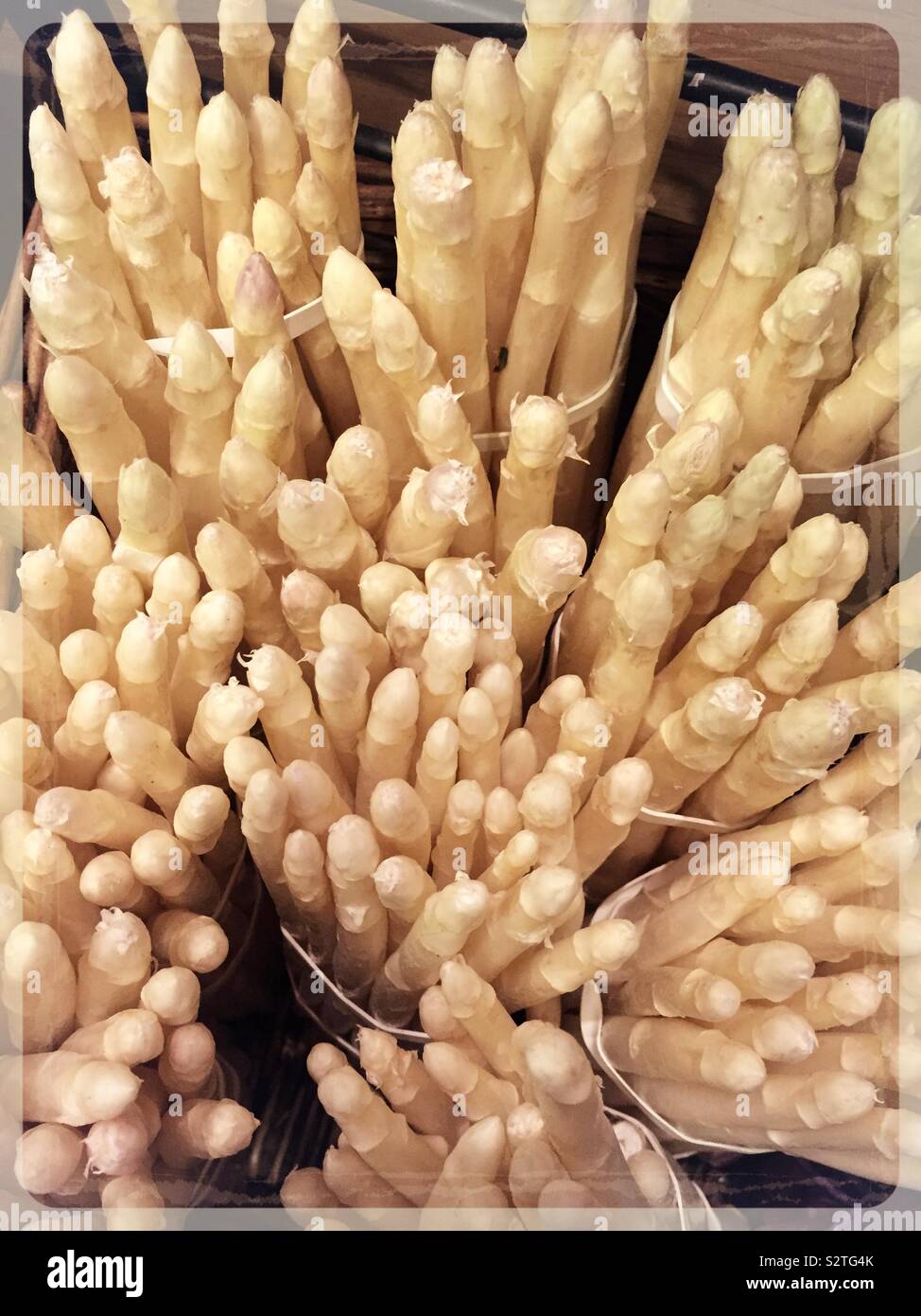 Bouquets de l'asperge blanche à vendre à la produire allée de l'épicerie dans la ville de New York, USA - Image de stock capturée avec un smartphone