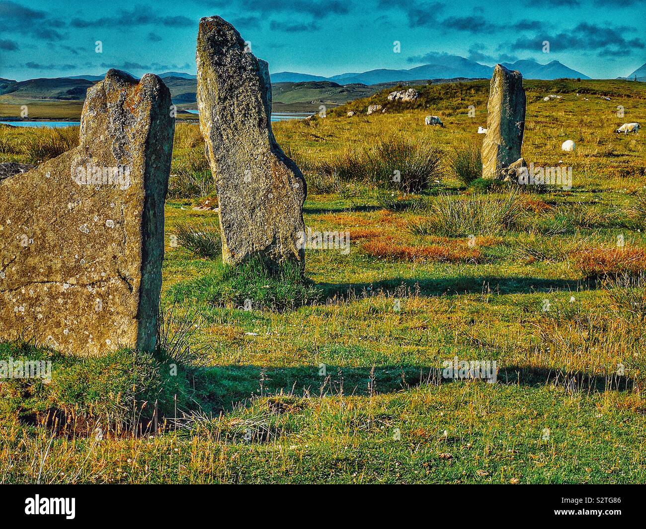 Callanish III (CNOC) Fillibhir Bheag pierres stone circle, Isle Of Lewis, Outer Hebrides, Angleterre Banque D'Images