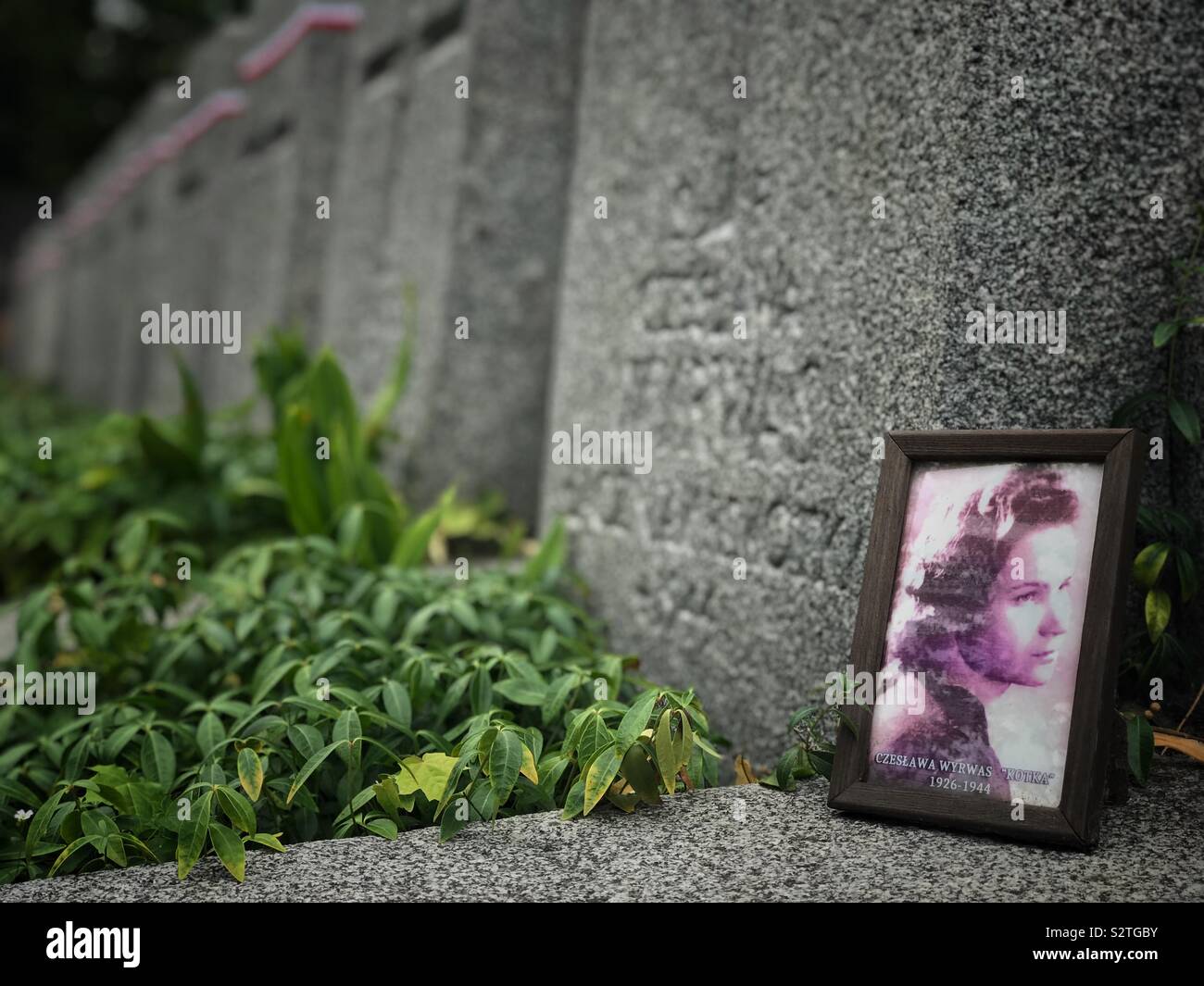 Rasos Cimetière, Vilnius, Lituanie Banque D'Images