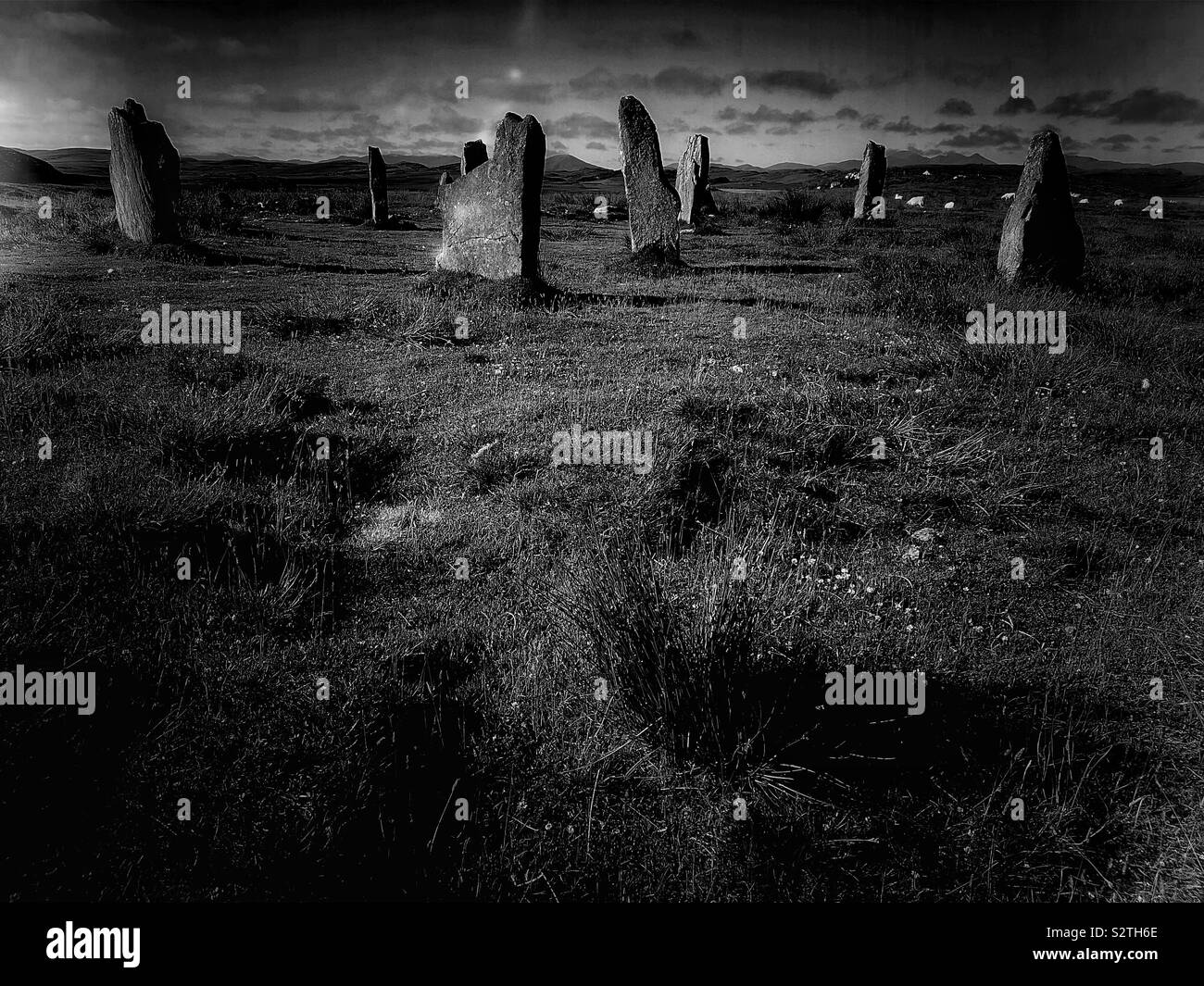 Image en noir et blanc de Callanish III (CNOC) Fillibhir Bheag pierres stone circle, Isle Of Lewis, Hébrides extérieures, en Écosse Banque D'Images