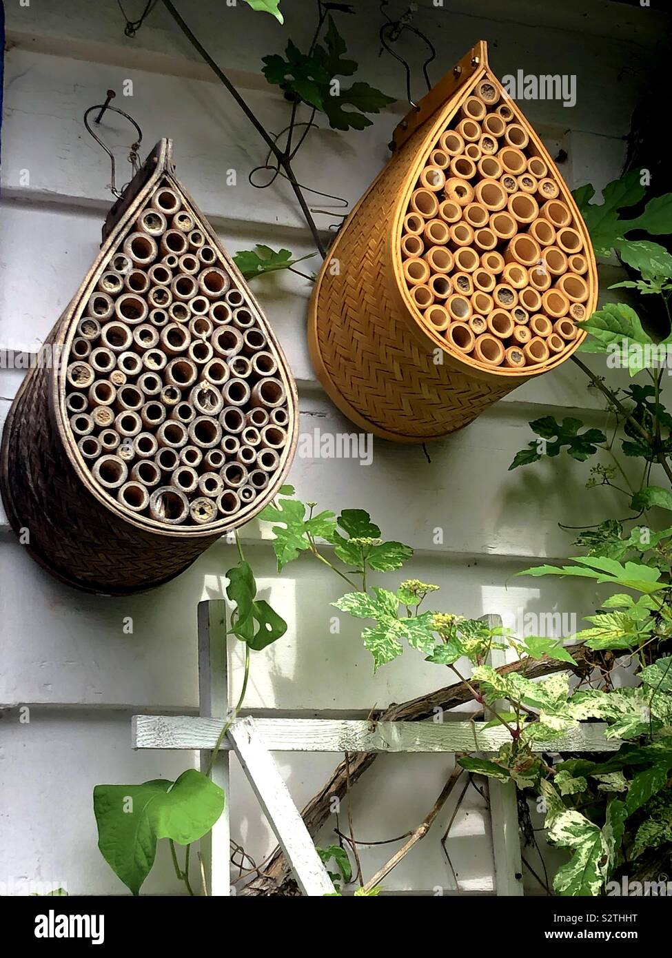 Maisons d'abeilles dans un jardin Banque D'Images