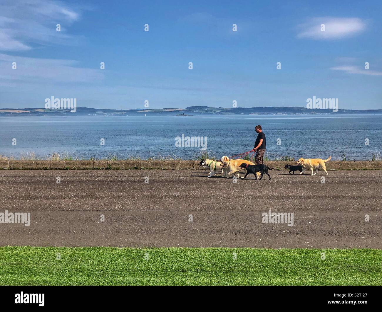 Chiens de promenade sur la promenade de Cramond, Édimbourg Banque D'Images