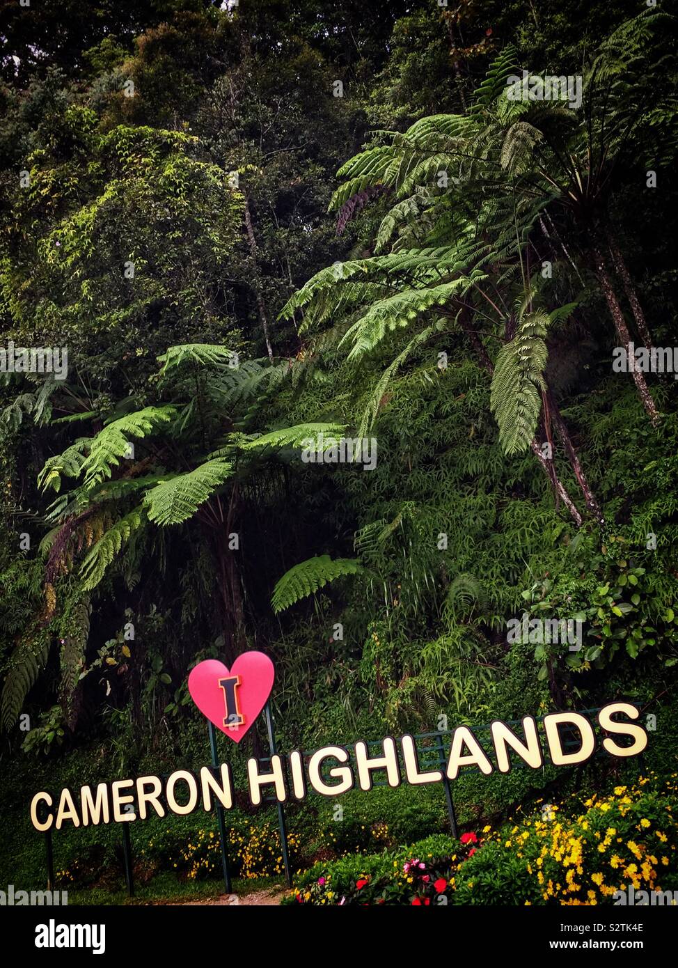 Signe de la route avec des ajouts d'attirer des touristes de prendre des autoportraits, Tanah Rata, Cameron Highlands, Malaisie - Image de stock capturée avec un smartphone