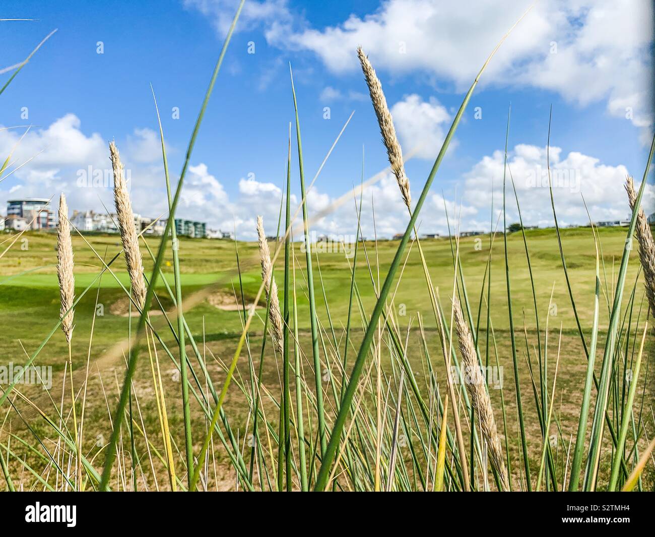 L'herbe haute à côté de golf à Newquay Banque D'Images