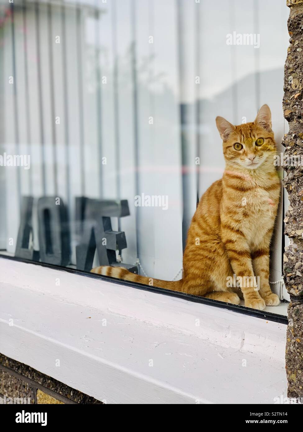Le gingembre cat sur appui de fenêtre avec amour sign Banque D'Images