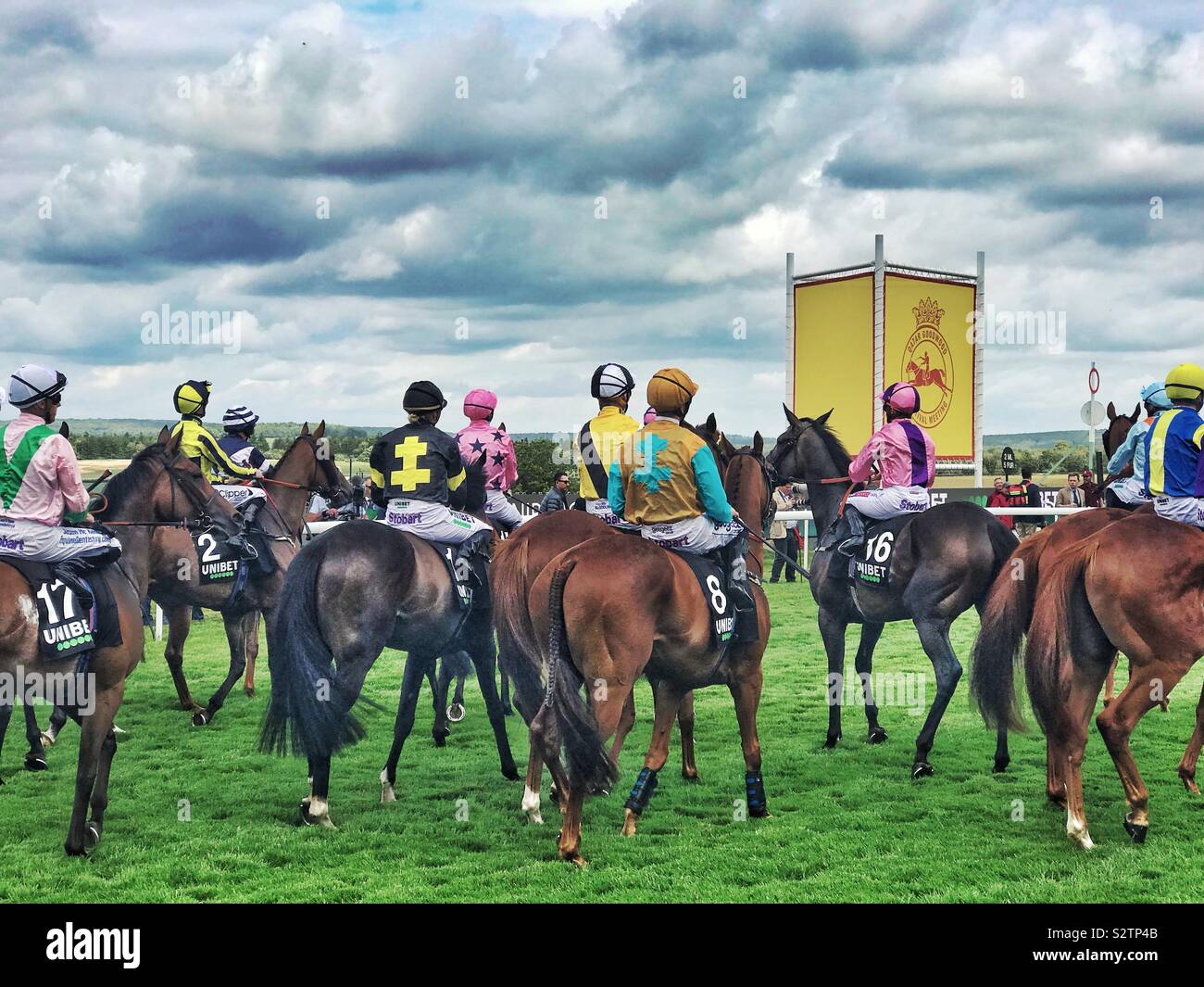 Chevaux de course au départ d'une course à Goodwood glorieuse 2019 Banque D'Images