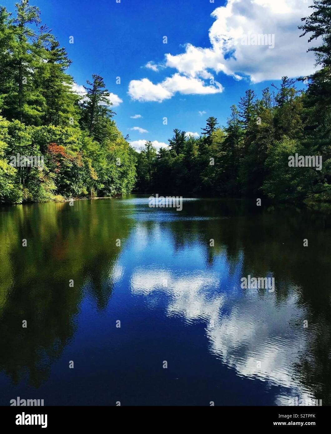 Carl Sandburg's Pond, Flat Rock, NC Banque D'Images