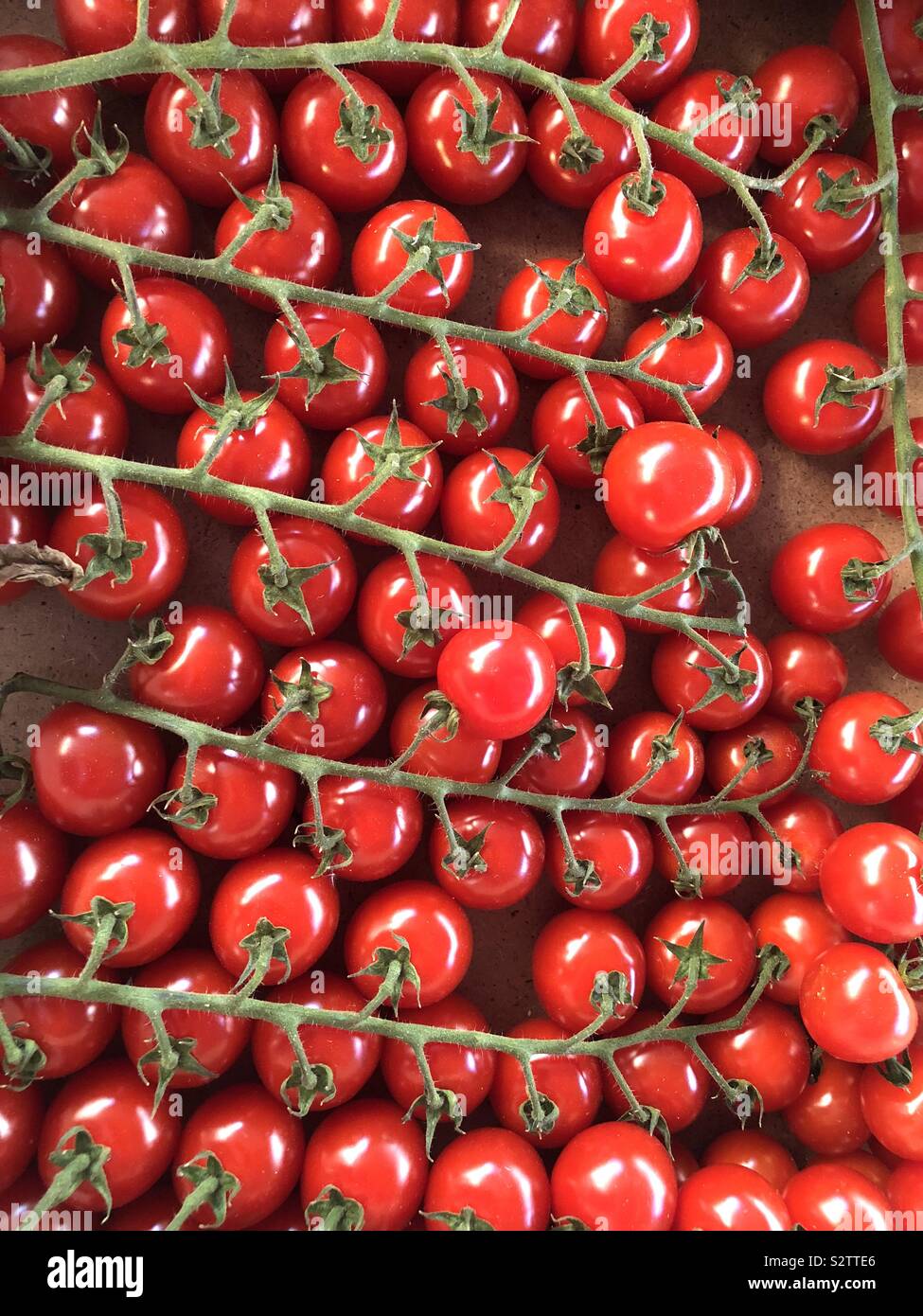 Tomates cerises à vendre dans un marché Banque D'Images