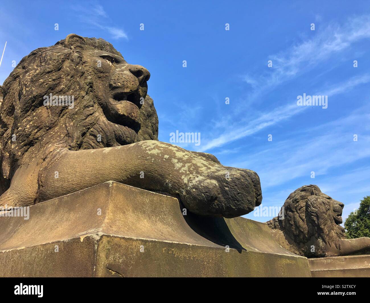 Les lions de pierre à l'extérieur de St George's Hall, de Lime Street, Liverpool. - Image de stock capturée avec un smartphone